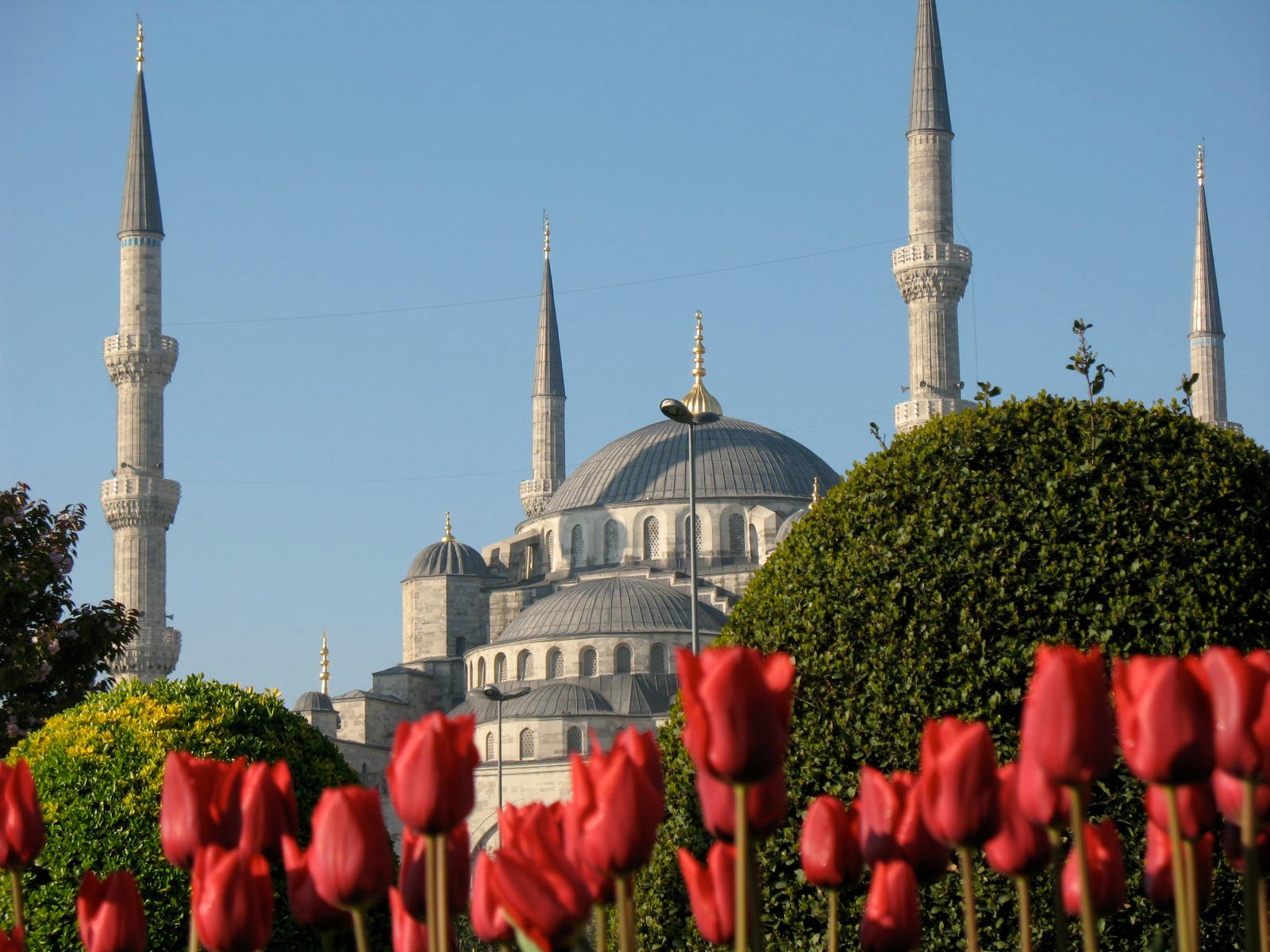 Beauty istanbul